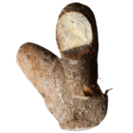 green cooking banana box trinidad grown provision trinidad and Tobago exportexport (1)