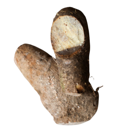 green cooking banana box trinidad grown provision trinidad and Tobago exportexport (1)