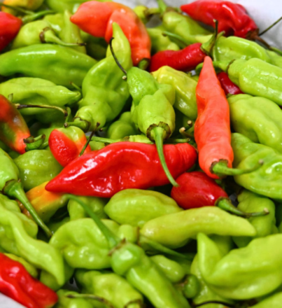 pimento pepper box trinidad grown provision trinidad and Tobago exportexport