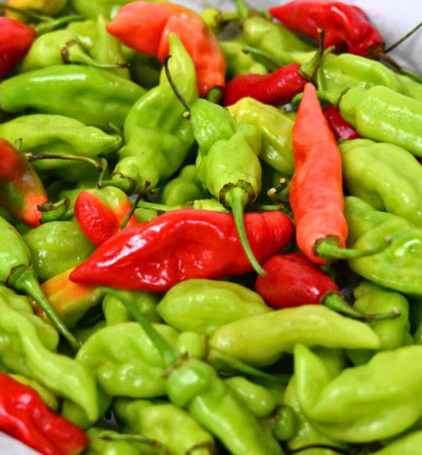 Pimento Pepper 8lb Box